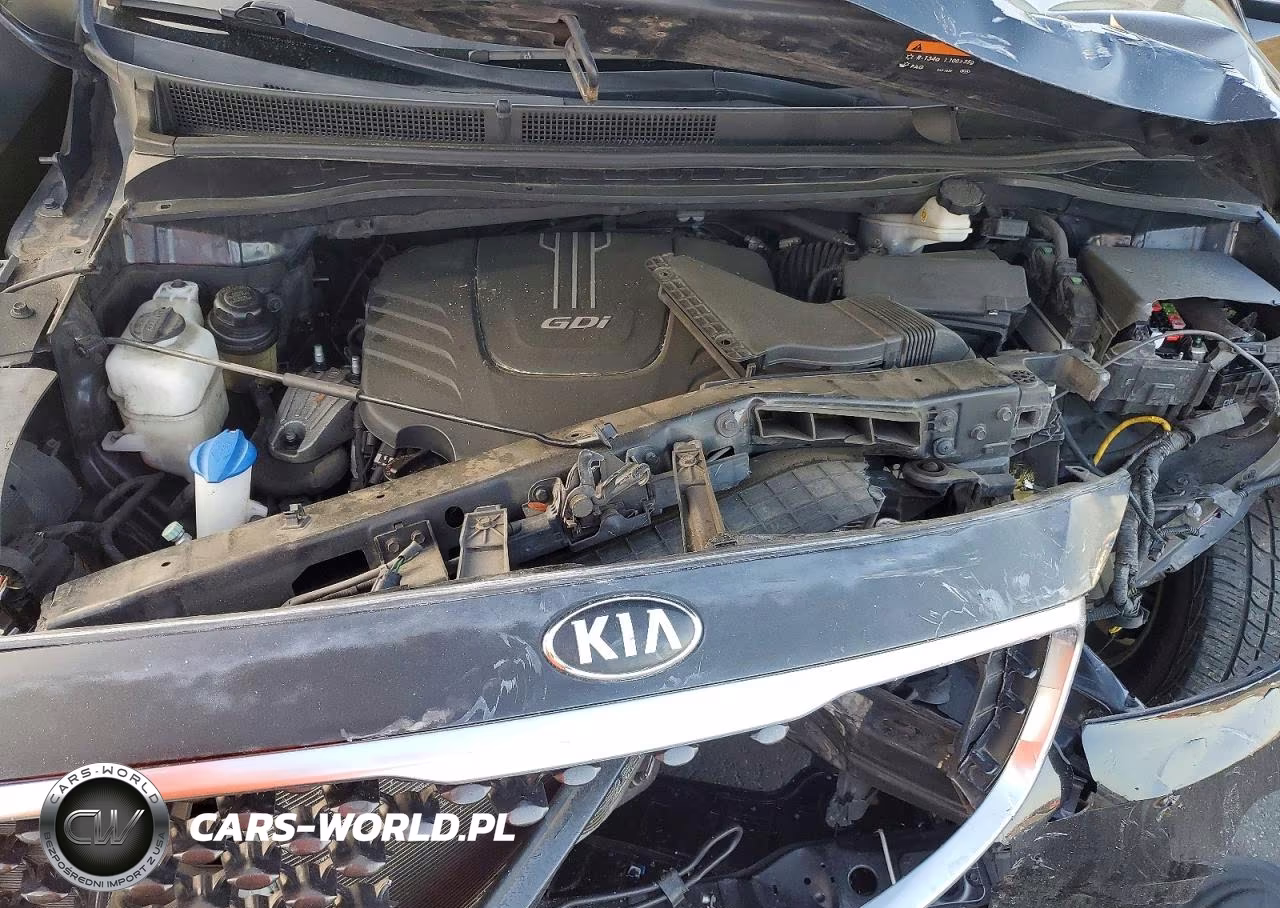 2016 Kia Sedona Lx VIN:KNDMB5C13G6102347 - 12
