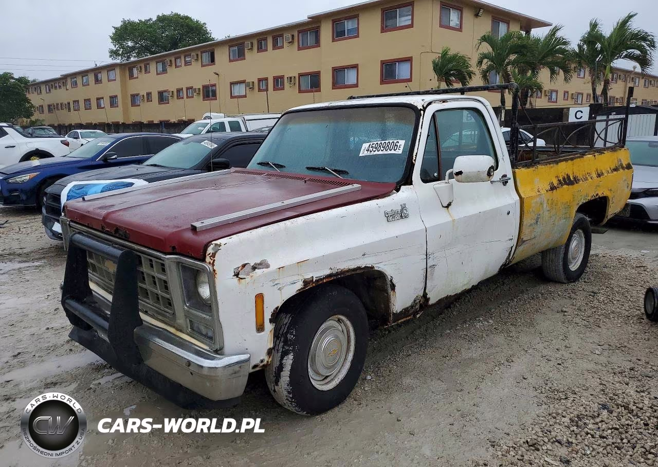 1980 Chevrolet Truck