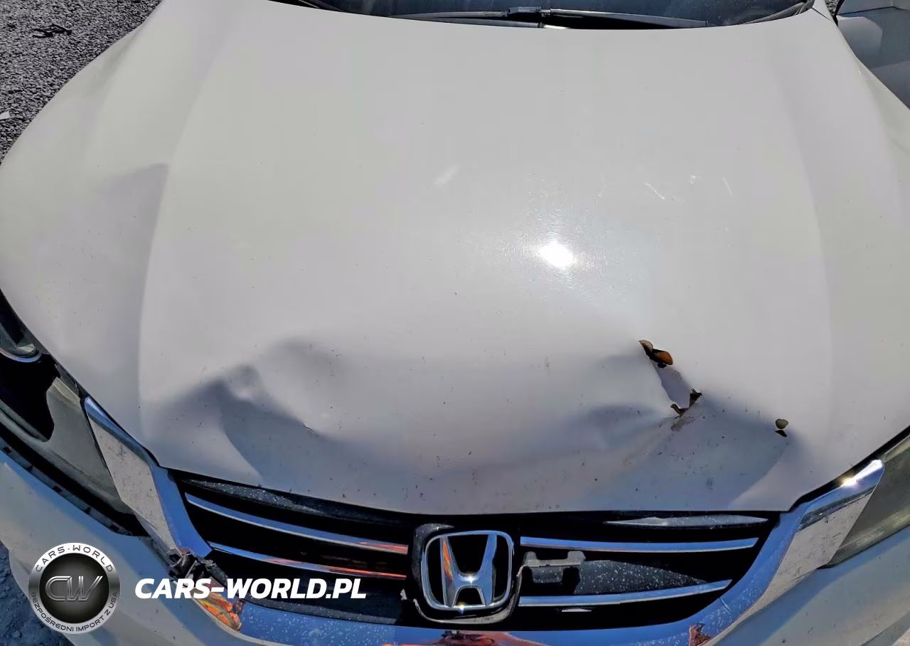 2014 Honda Accord Exl VIN:1HGCR3F83EA013507 - 11