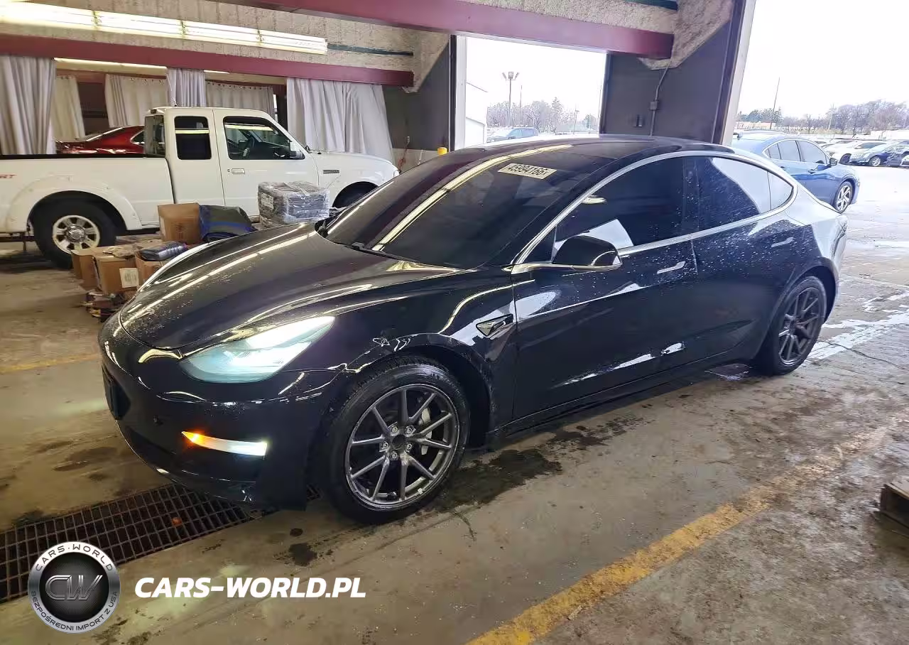 2019 Tesla Model 3