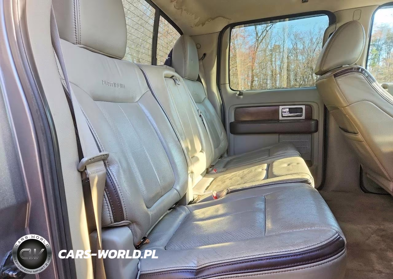 2010 Ford F150 Supercrew VIN:1FTFW1EV1AFA90860 - 10