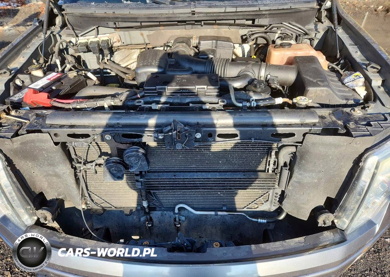 2010 Ford F150 Supercrew VIN:1FTFW1EV1AFA90860 - 11