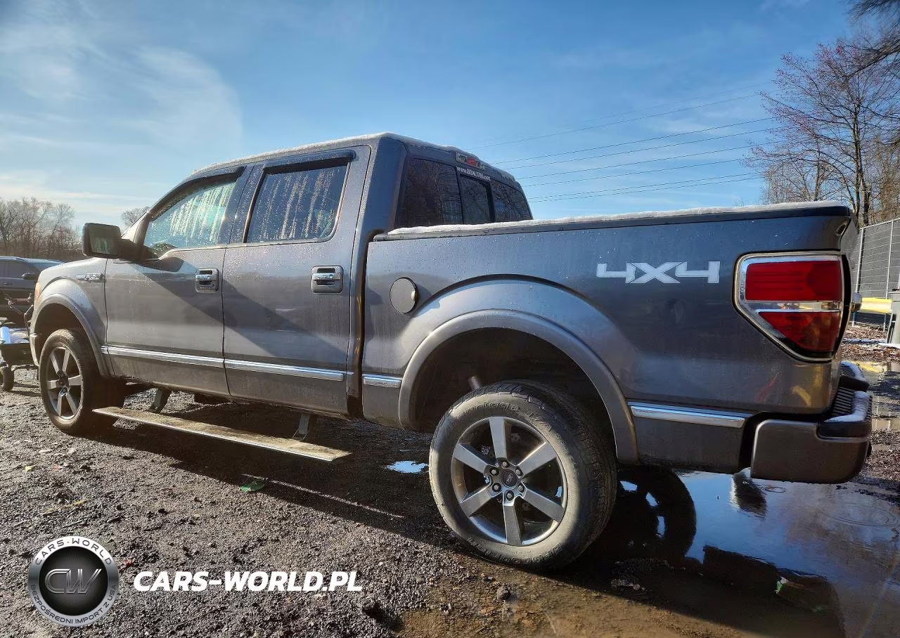 2010 Ford F150 Supercrew VIN:1FTFW1EV1AFA90860 - 2