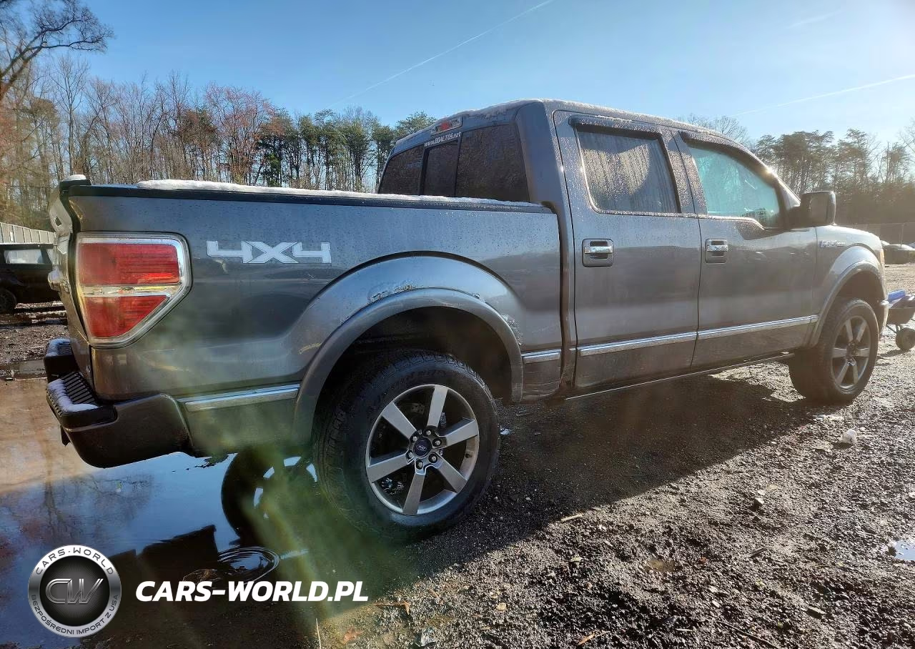 2010 Ford F150 Supercrew VIN:1FTFW1EV1AFA90860 - 3