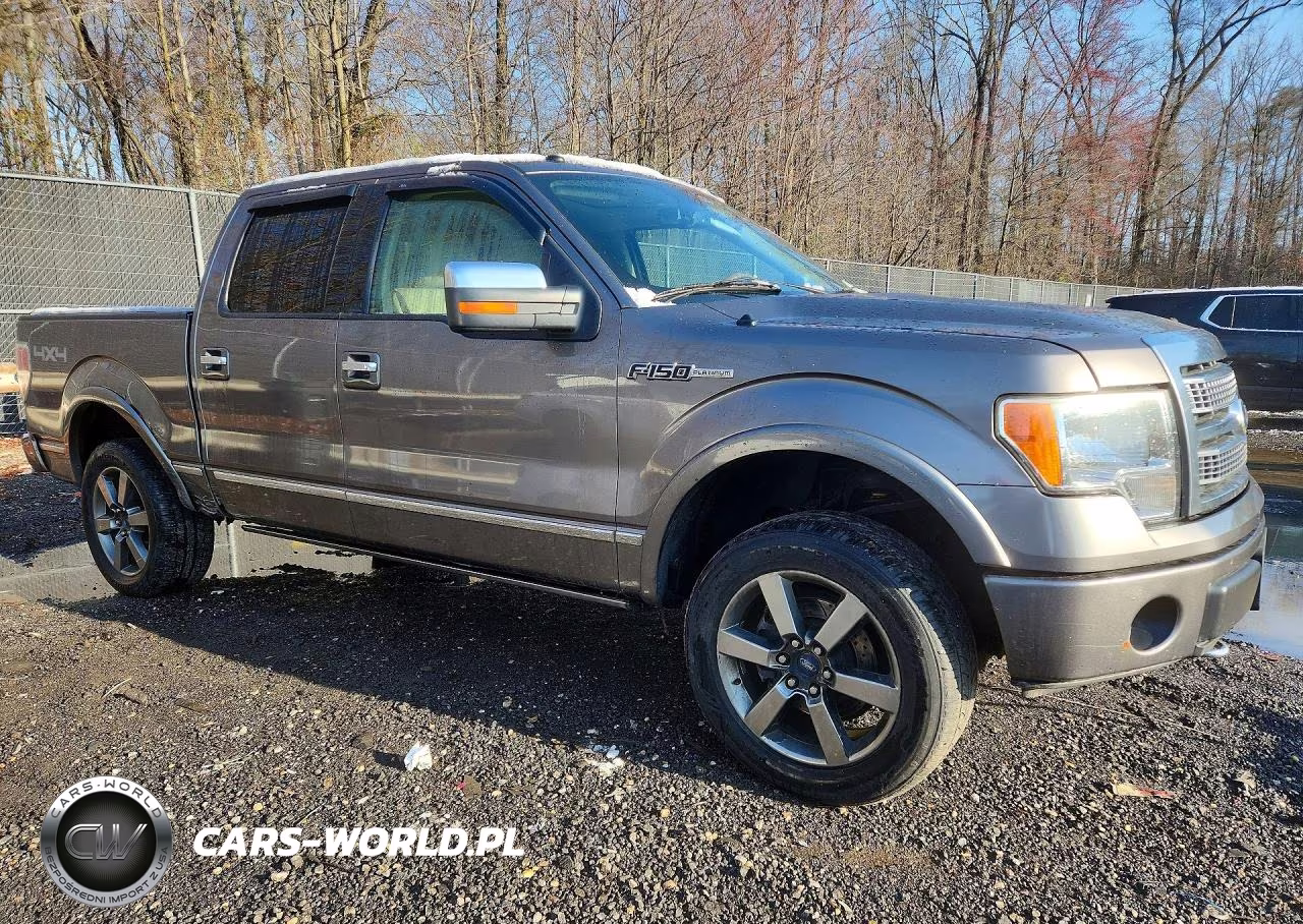 2010 Ford F150 Supercrew VIN:1FTFW1EV1AFA90860 - 4