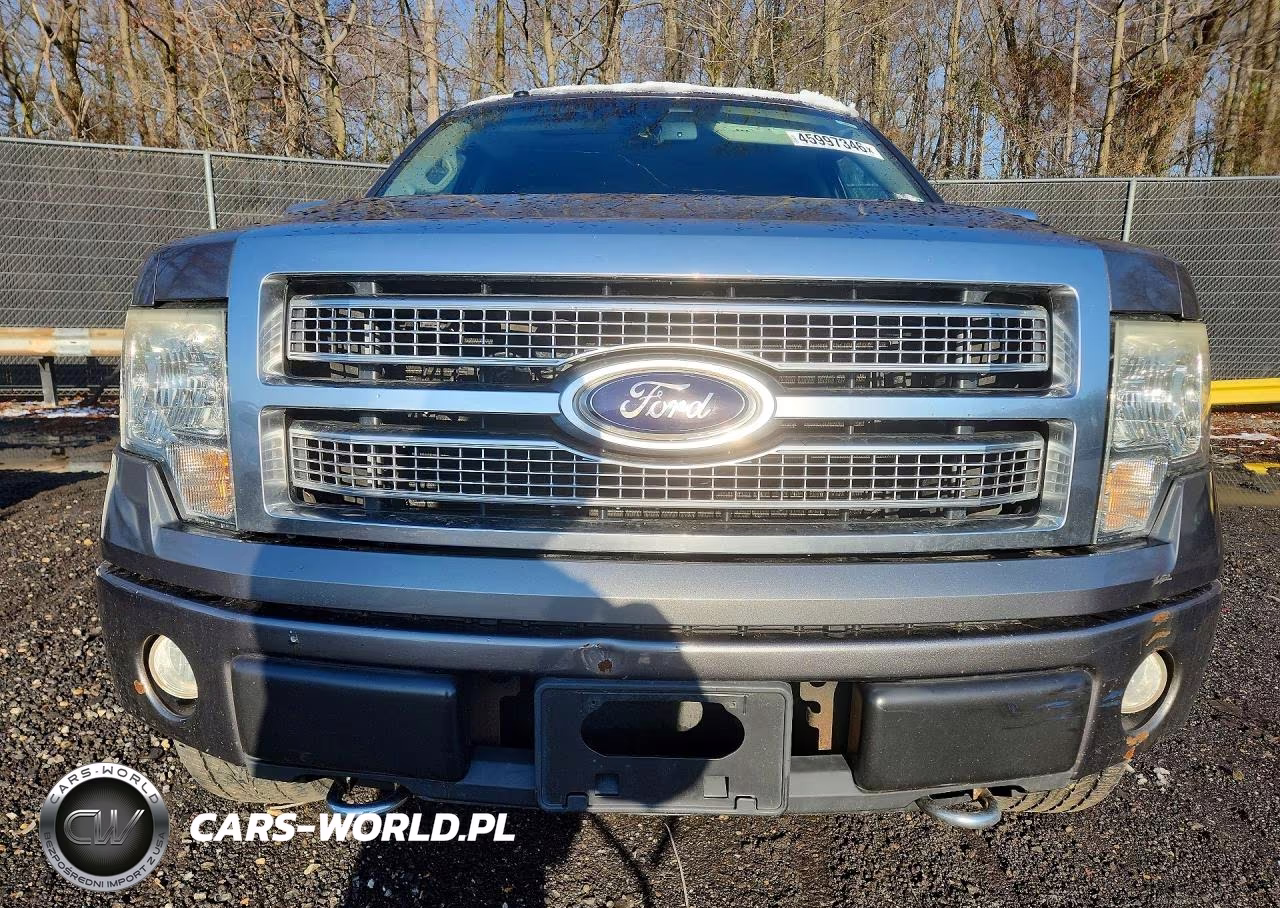 2010 Ford F150 Supercrew VIN:1FTFW1EV1AFA90860 - 5