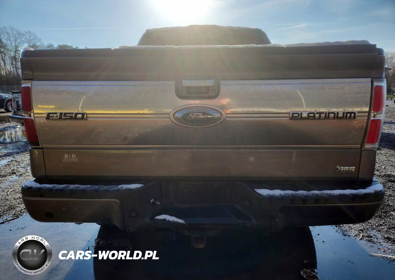 2010 Ford F150 Supercrew VIN:1FTFW1EV1AFA90860 - 6