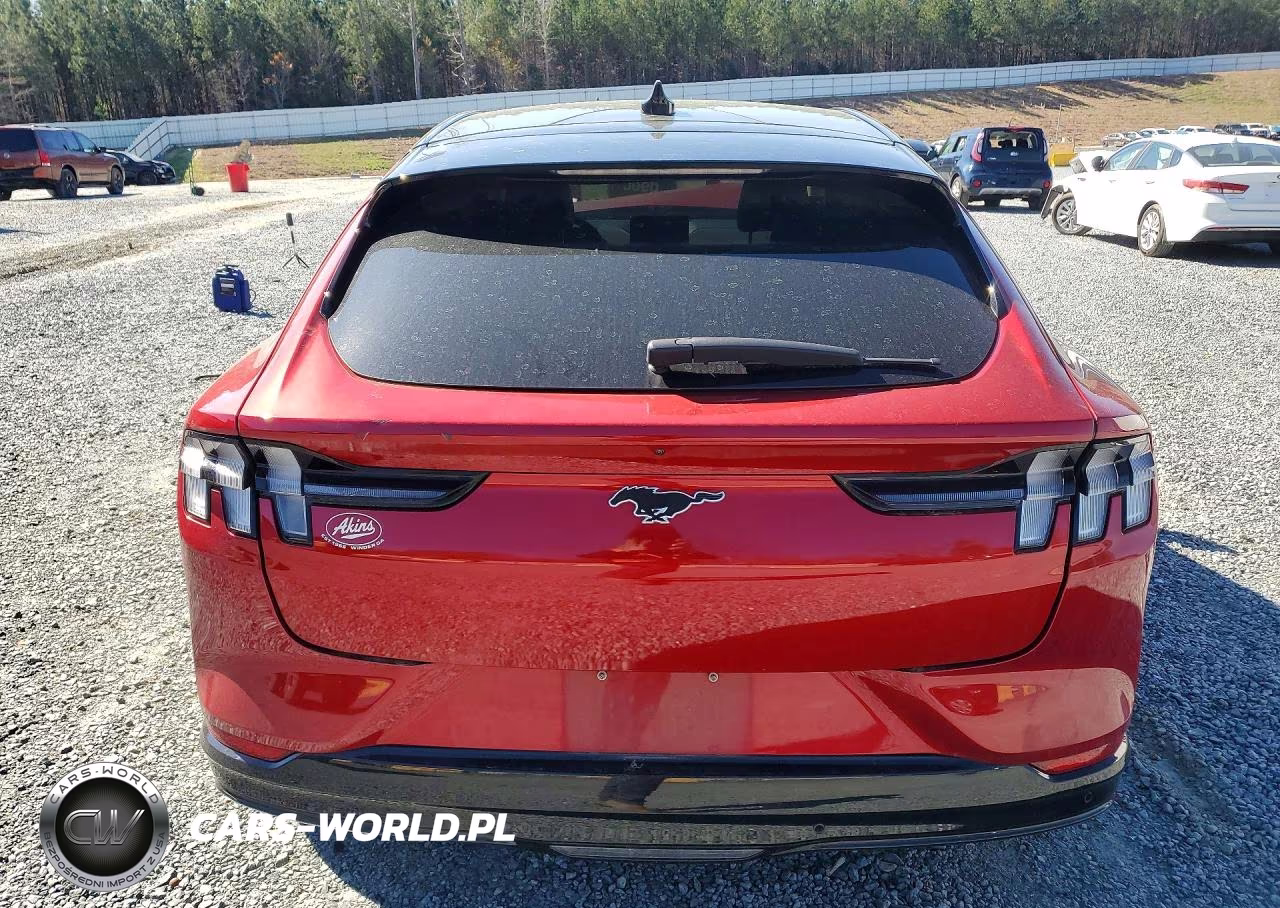 2022 Ford Mustang Mach-E Premium VIN:3FMTK3RM7NMA40896 - 6