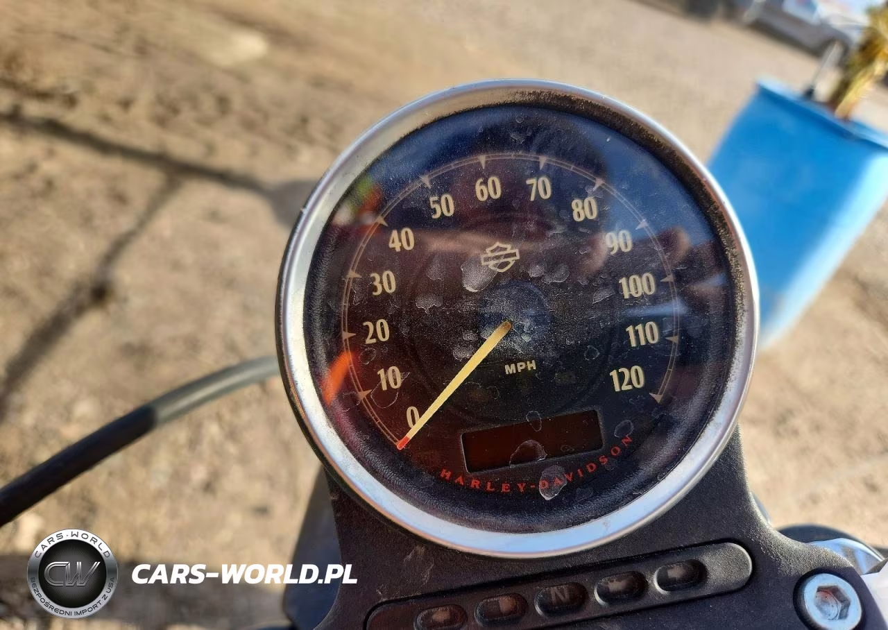 2021 Harley-Davidson Xl883 N VIN:1HD4LE212MB413025 - 7
