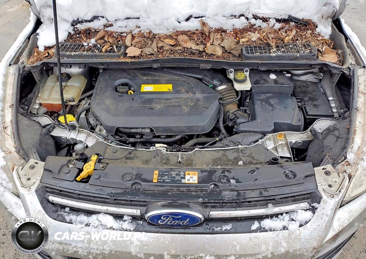 2016 Ford Escape Se VIN:1FMCU9GXXGUB12117 - 12
