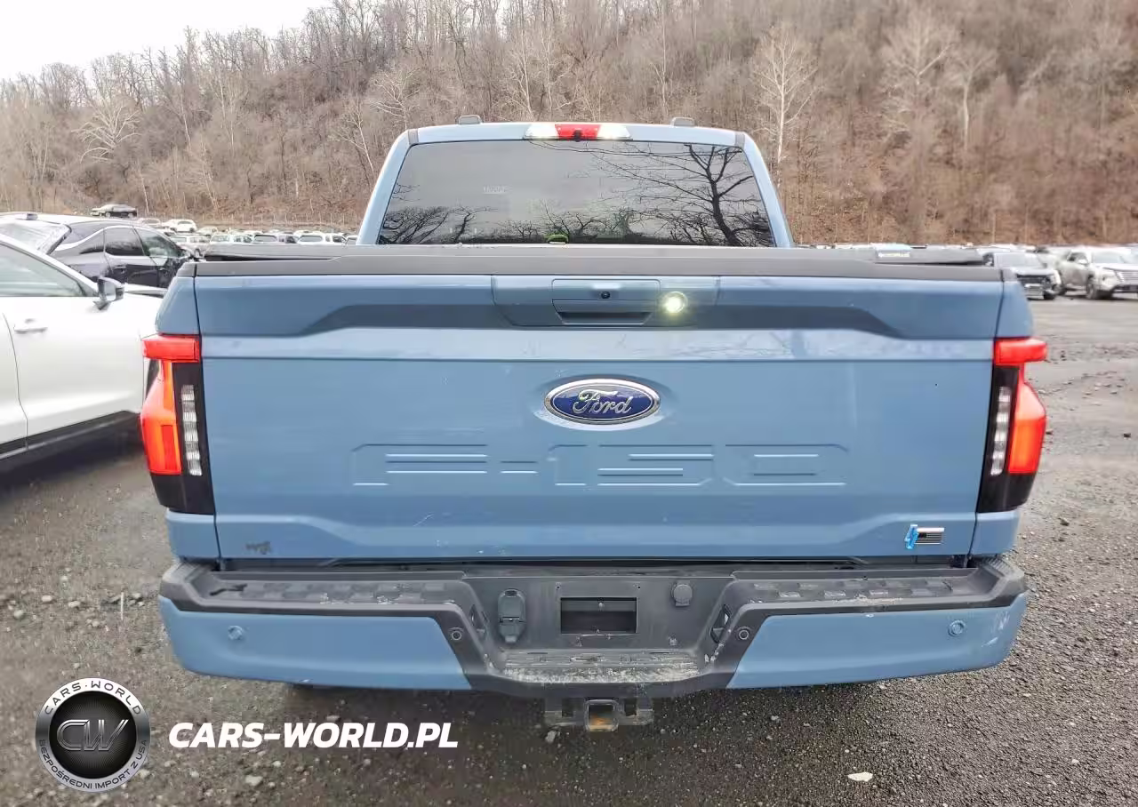 2023 Ford F150 Lightning Pro VIN:1FT6W1EV5PWG48184 - 6