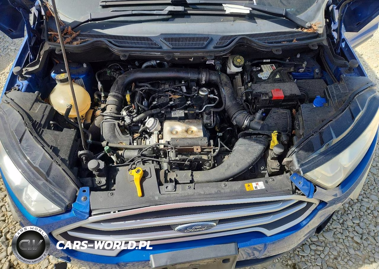 2020 Ford Ecosport Se VIN:MAJ3S2GE7LC365465 - 12
