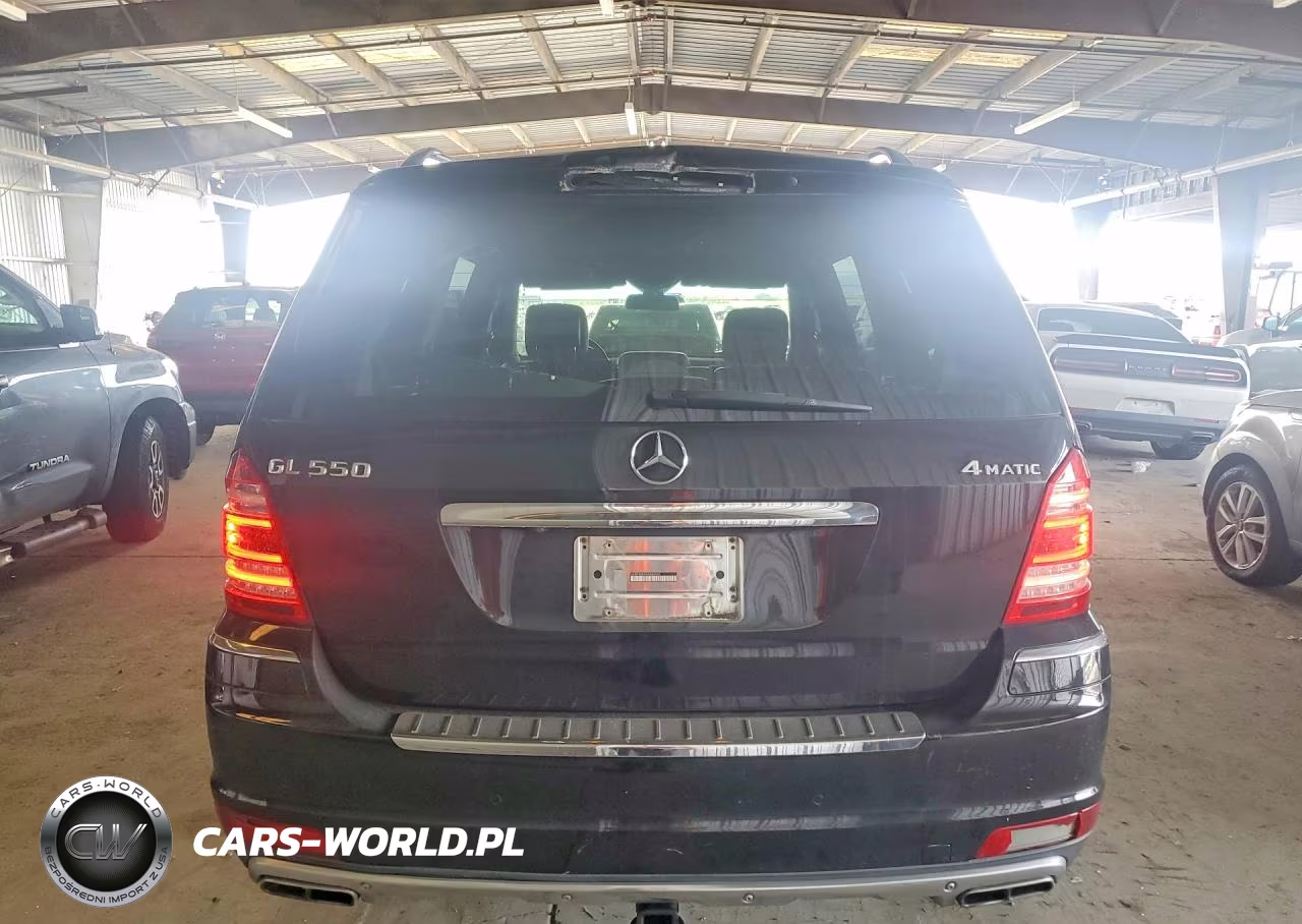 2010 Mercedes-Benz Gl 550 4Matic VIN:4JGBF8GE9AA584266 - 6
