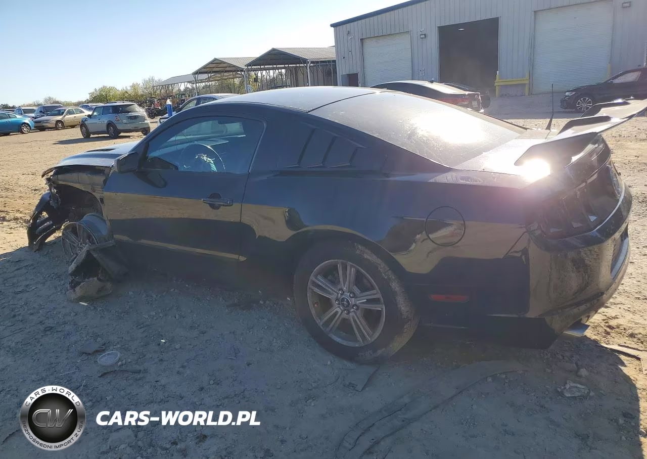 2014 Ford Mustang VIN:1ZVBP8AM6E5265405 - 2
