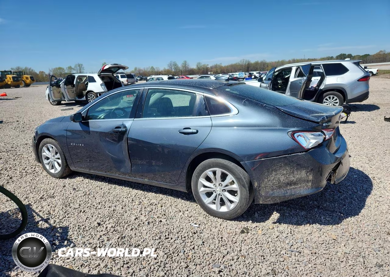2019 Chevrolet Malibu Lt VIN:1G1ZD5ST6KF185132 - 2