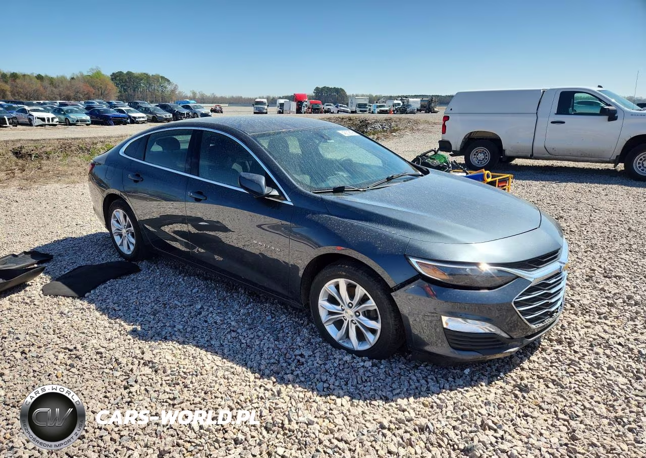 2019 Chevrolet Malibu Lt VIN:1G1ZD5ST6KF185132 - 4