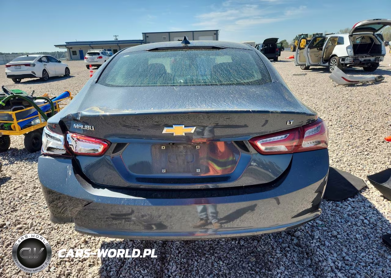 2019 Chevrolet Malibu Lt VIN:1G1ZD5ST6KF185132 - 6