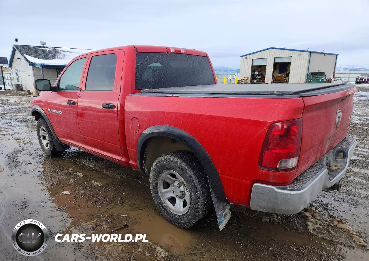 2011 Dodge Ram 1500 VIN:1D7RV1CP5BS695662 - 2