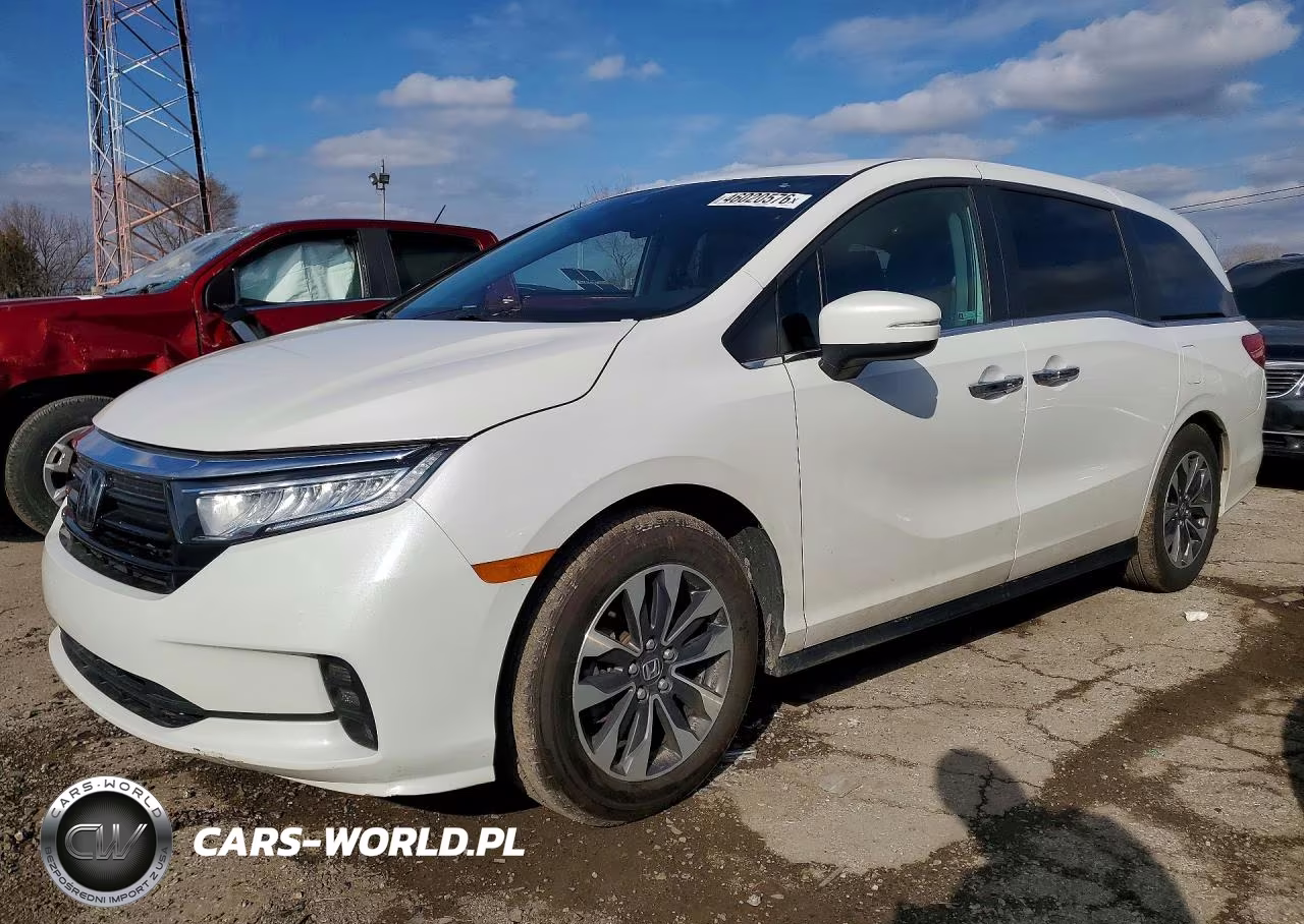 2023 Honda Odyssey Exl