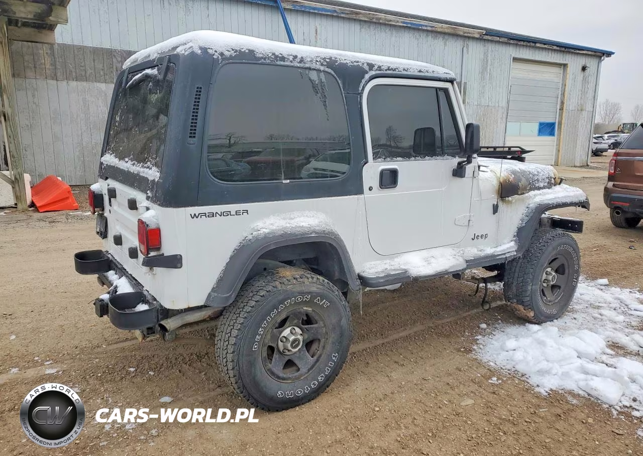 1995 Jeep Wrangler - Yj Se VIN:1J4FY29S2SP207884 - 3