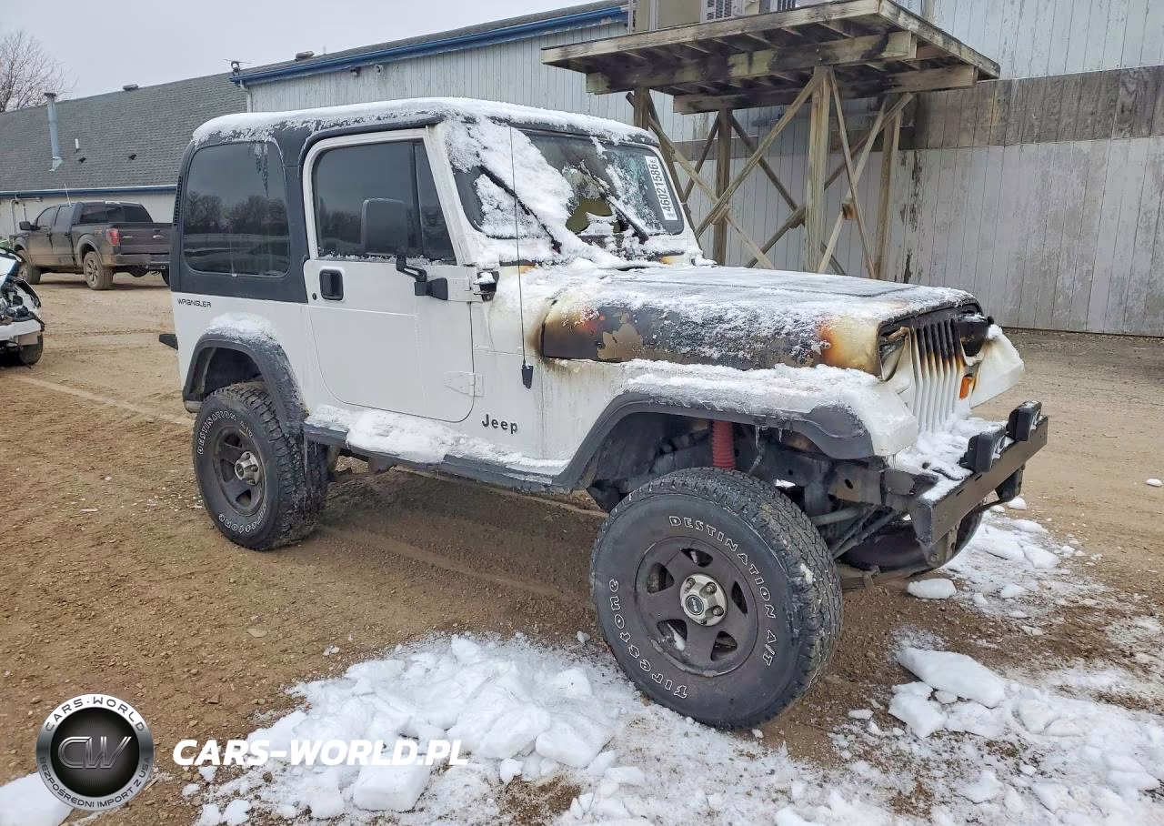 1995 Jeep Wrangler - Yj Se VIN:1J4FY29S2SP207884 - 4