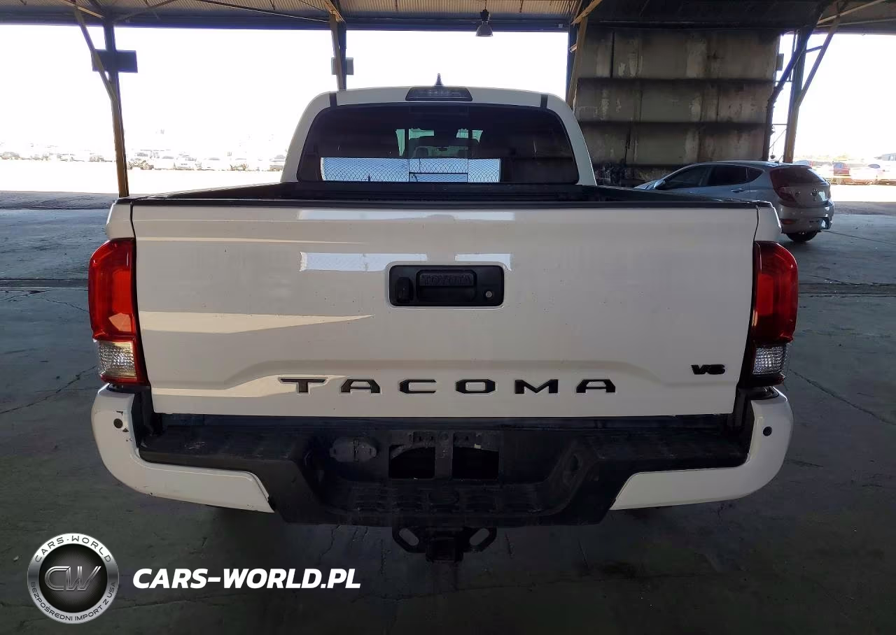 2019 Toyota Tacoma Trd Off-Road VIN:3TMDZ5BN1KM067073 - 6
