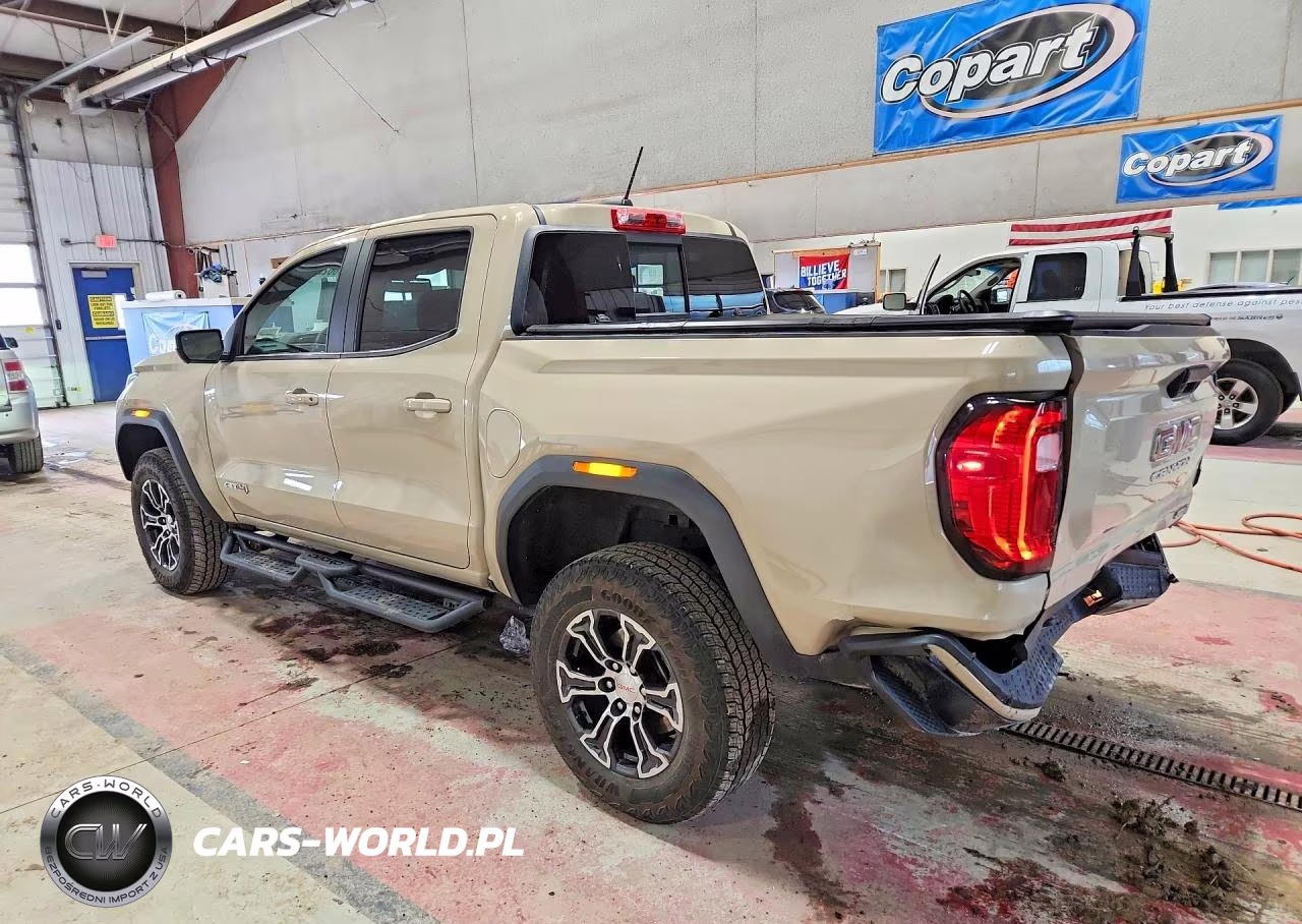2024 GMC Canyon At4 VIN:1GTP6DEK5R1191601 - 2