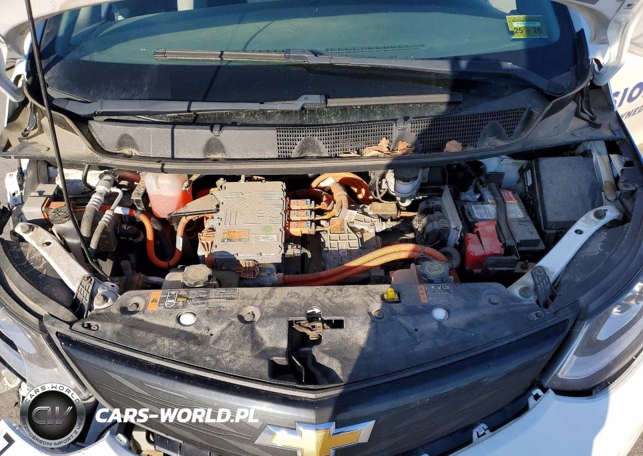 2017 Chevrolet Bolt Ev Lt VIN:1G1FW6S00H4169893 - 11