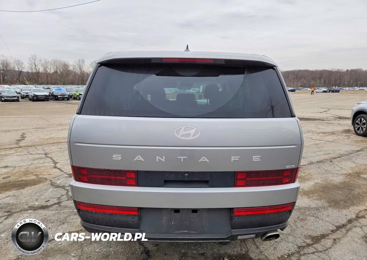 2025 Hyundai Santa Fe Se VIN:5NMP1DGL4SH148495 - 6