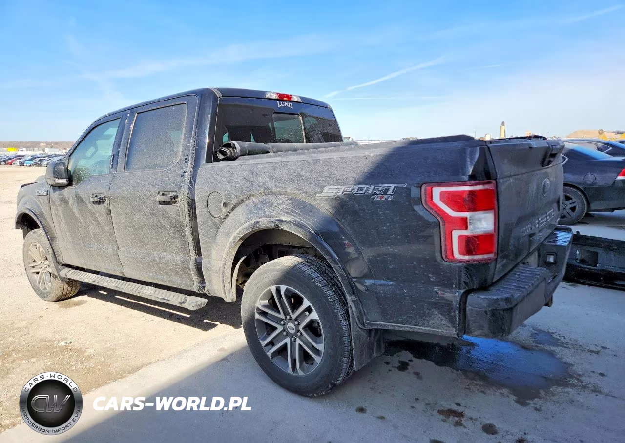 2020 Ford F150 Supercrew VIN:1FTEW1EP9LKF39631 - 2