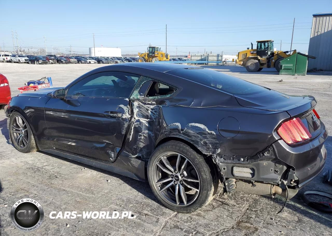 2016 Ford Mustang VIN:1FA6P8AM4G5211257 - 2