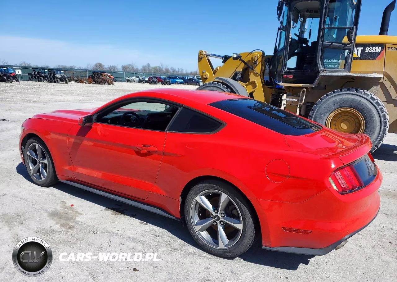 2015 Ford Mustang VIN:1FA6P8AM7F5429546 - 2