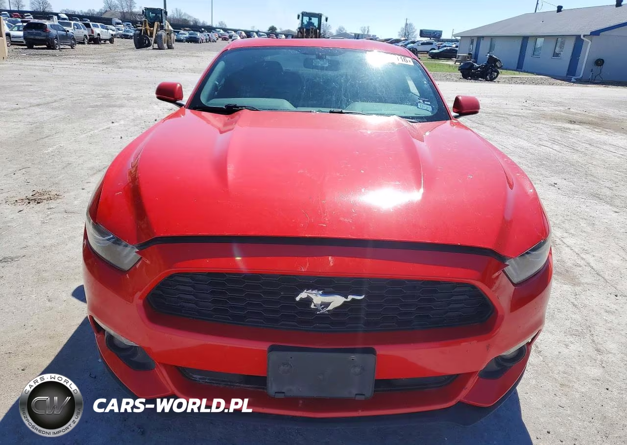 2015 Ford Mustang VIN:1FA6P8AM7F5429546 - 5