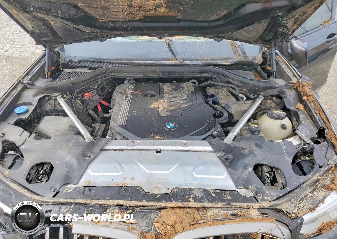 2021 BMW X4 xDrivem40I VIN:5UX2V5C00M9H54764 - 12