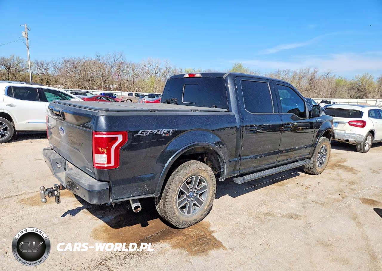 2015 Ford F150 Supercrew VIN:1FTEW1EFXFFA76645 - 3