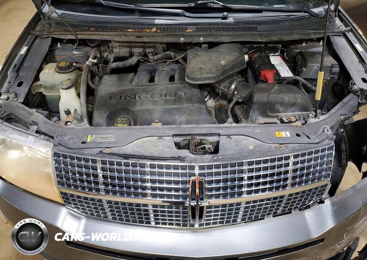 2009 Lincoln Mkx VIN:2LMDU88C89BJ12320 - 12