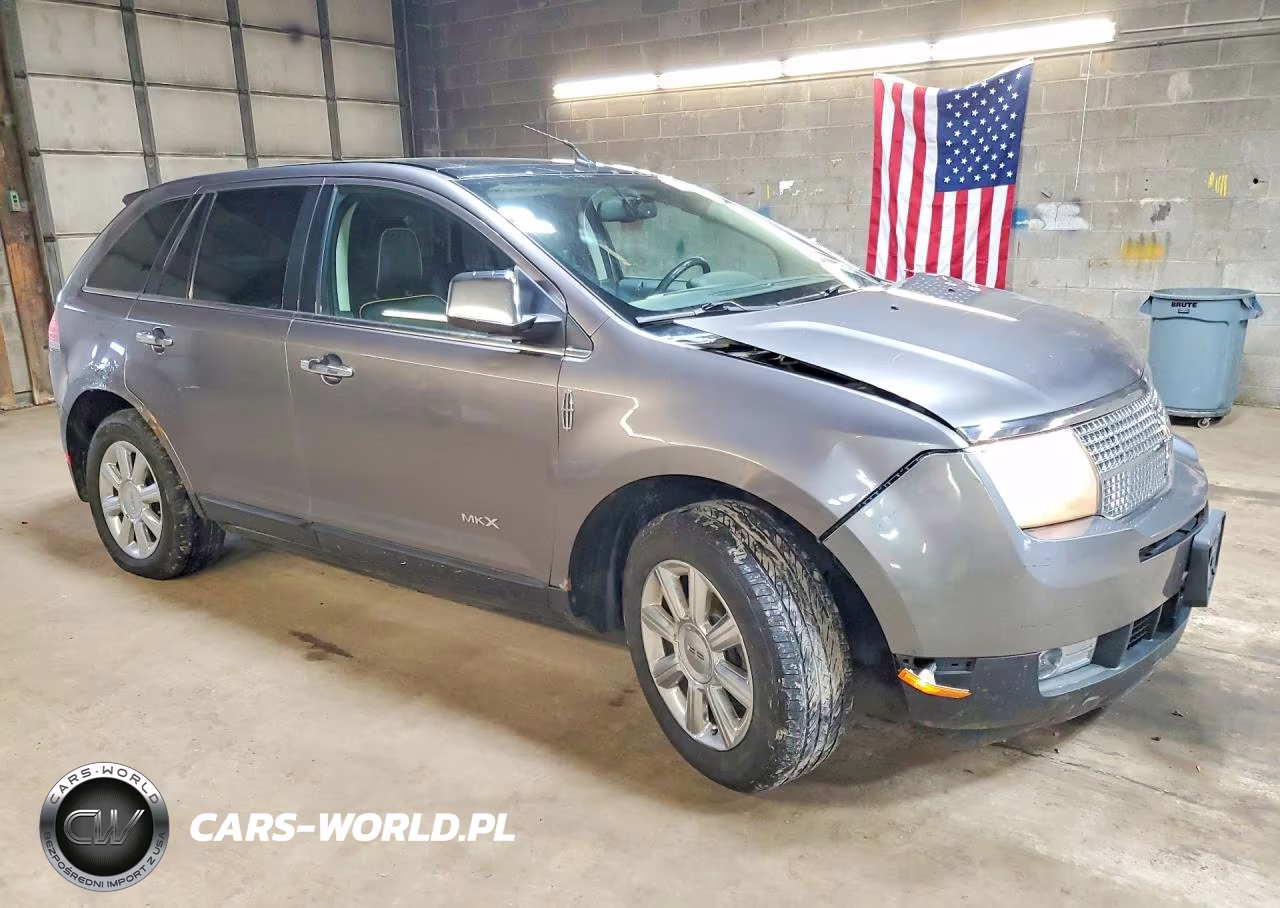 2009 Lincoln Mkx VIN:2LMDU88C89BJ12320 - 4