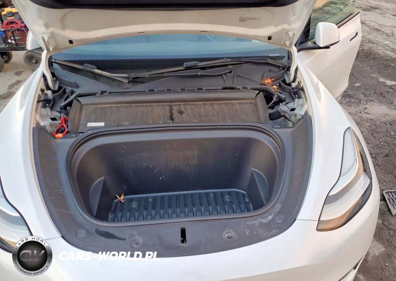2023 Tesla Model Y VIN:7SAYGDEE5PA110998 - 12