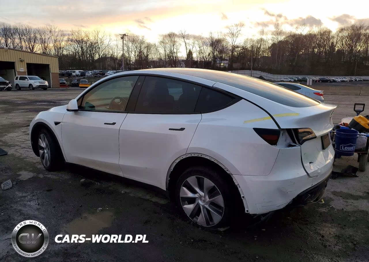 2023 Tesla Model Y VIN:7SAYGDEE5PA110998 - 2