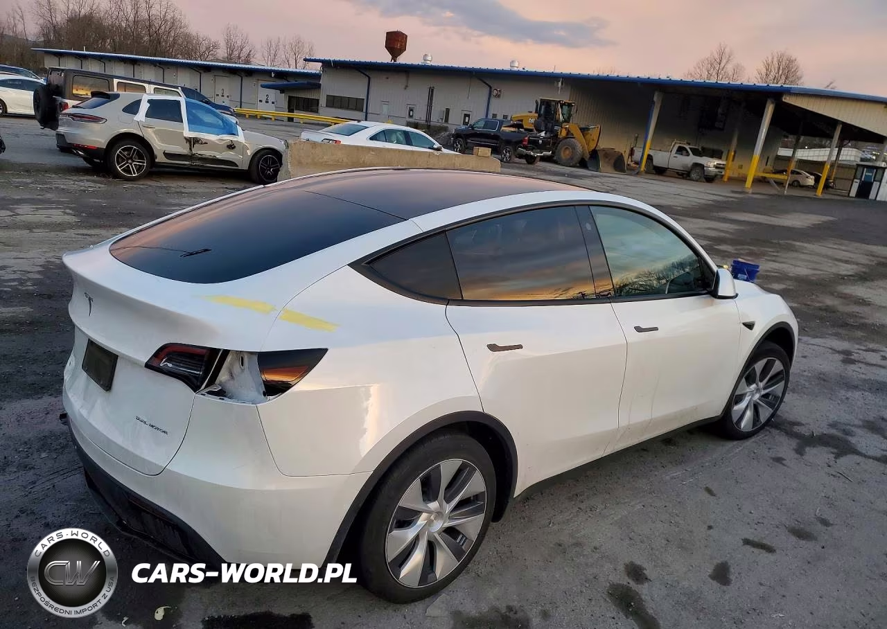 2023 Tesla Model Y VIN:7SAYGDEE5PA110998 - 3