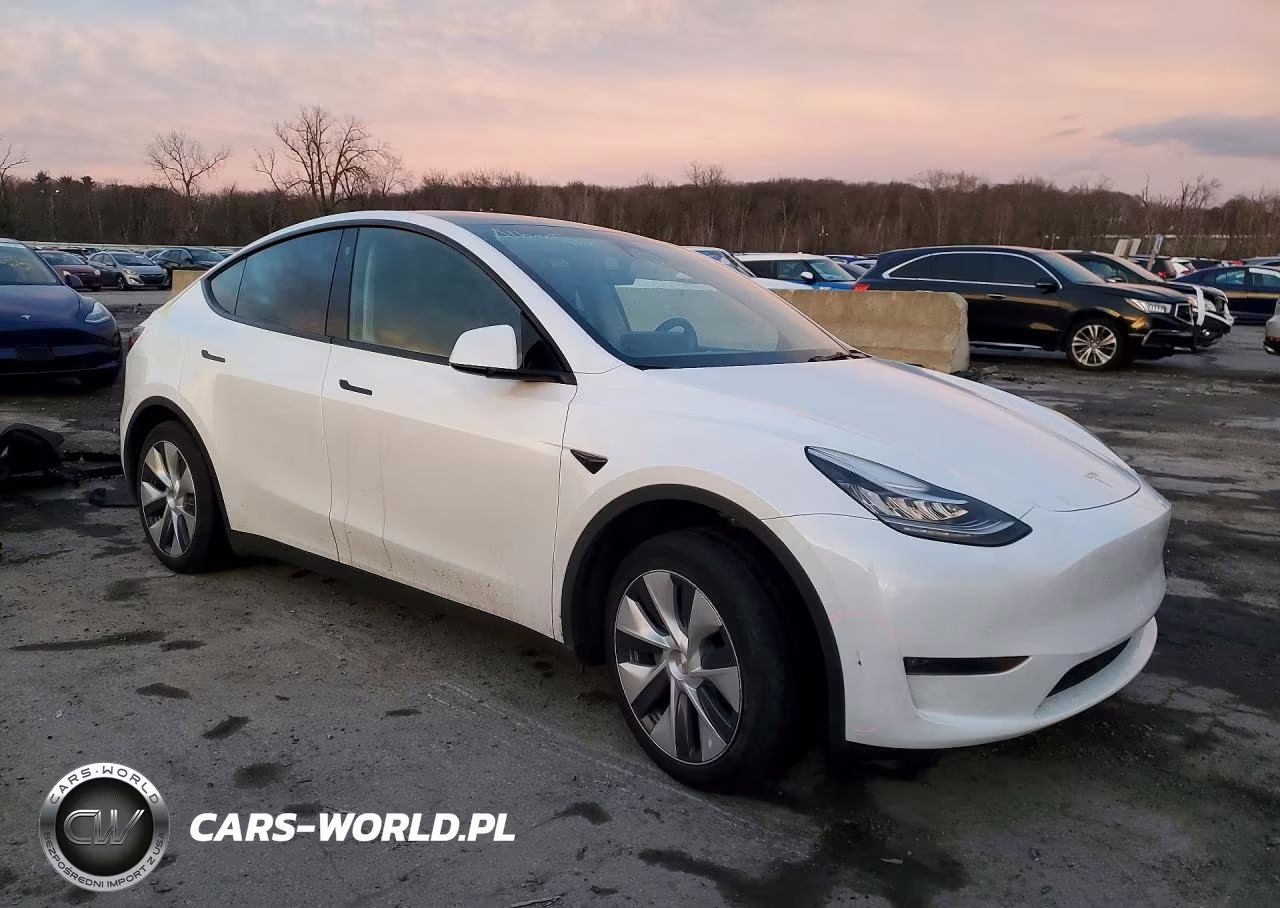 2023 Tesla Model Y VIN:7SAYGDEE5PA110998 - 4