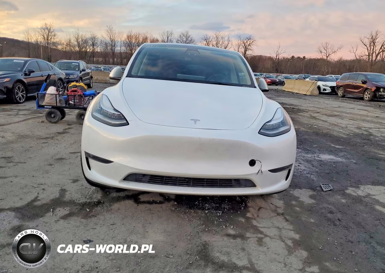 2023 Tesla Model Y VIN:7SAYGDEE5PA110998 - 5