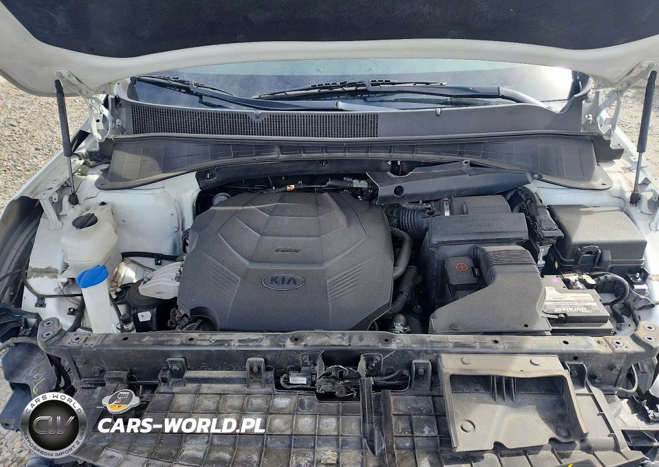 2019 Kia Sorento Ex V6 VIN:5XYPHDA51KG500481 - 12