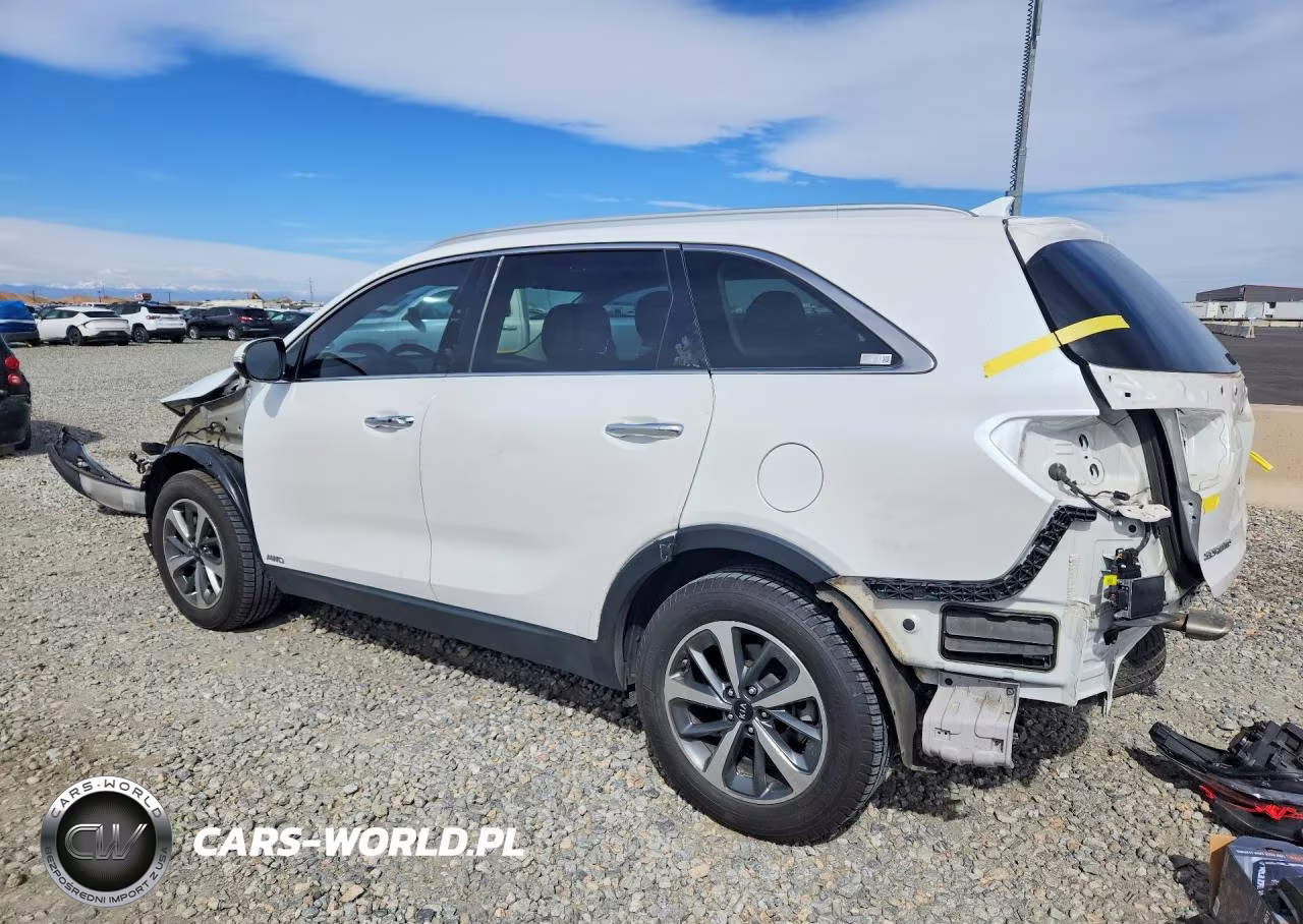 2019 Kia Sorento Ex V6 VIN:5XYPHDA51KG500481 - 2
