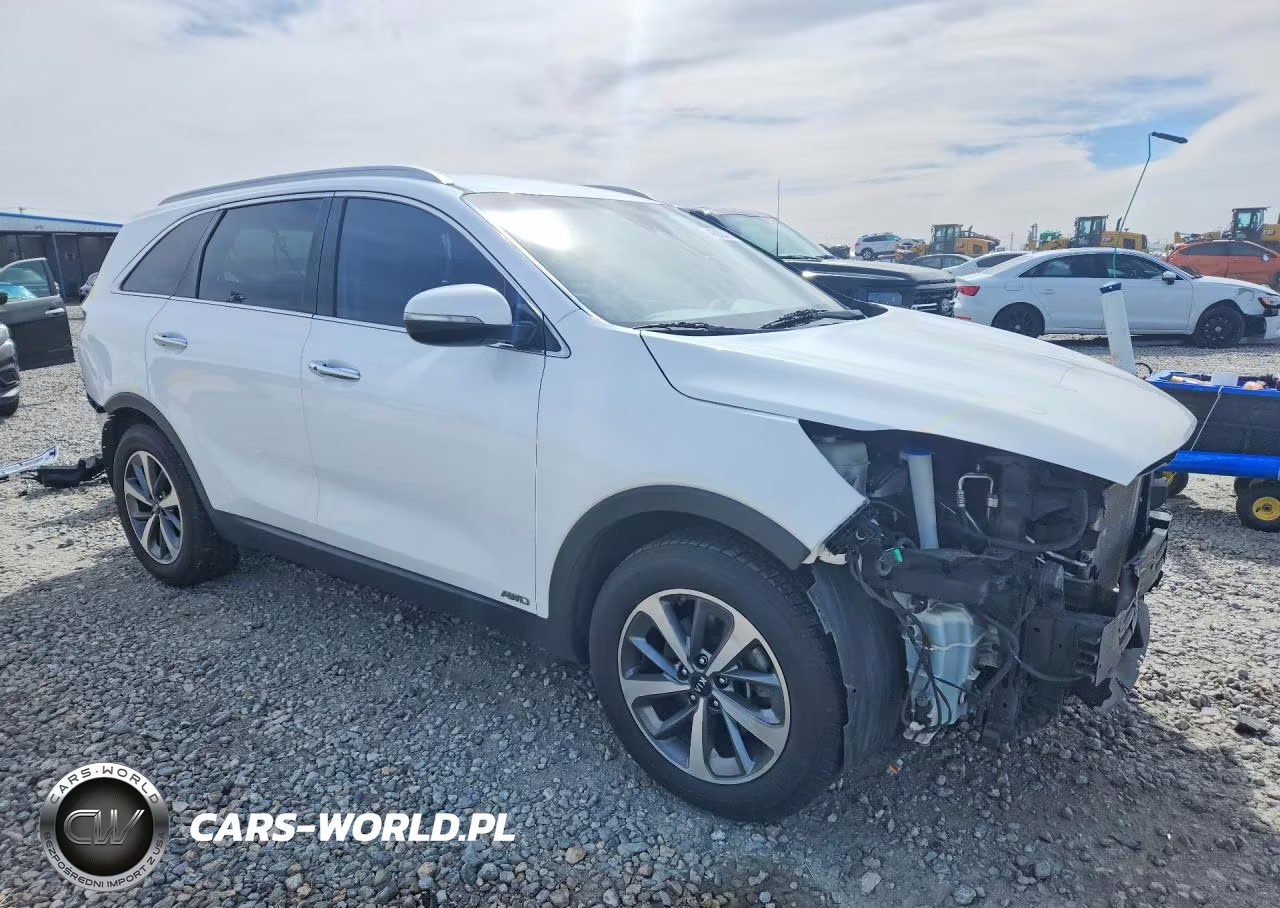 2019 Kia Sorento Ex V6 VIN:5XYPHDA51KG500481 - 4
