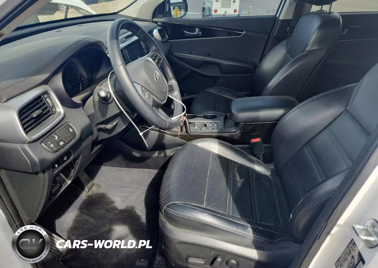 2019 Kia Sorento Ex V6 VIN:5XYPHDA51KG500481 - 7