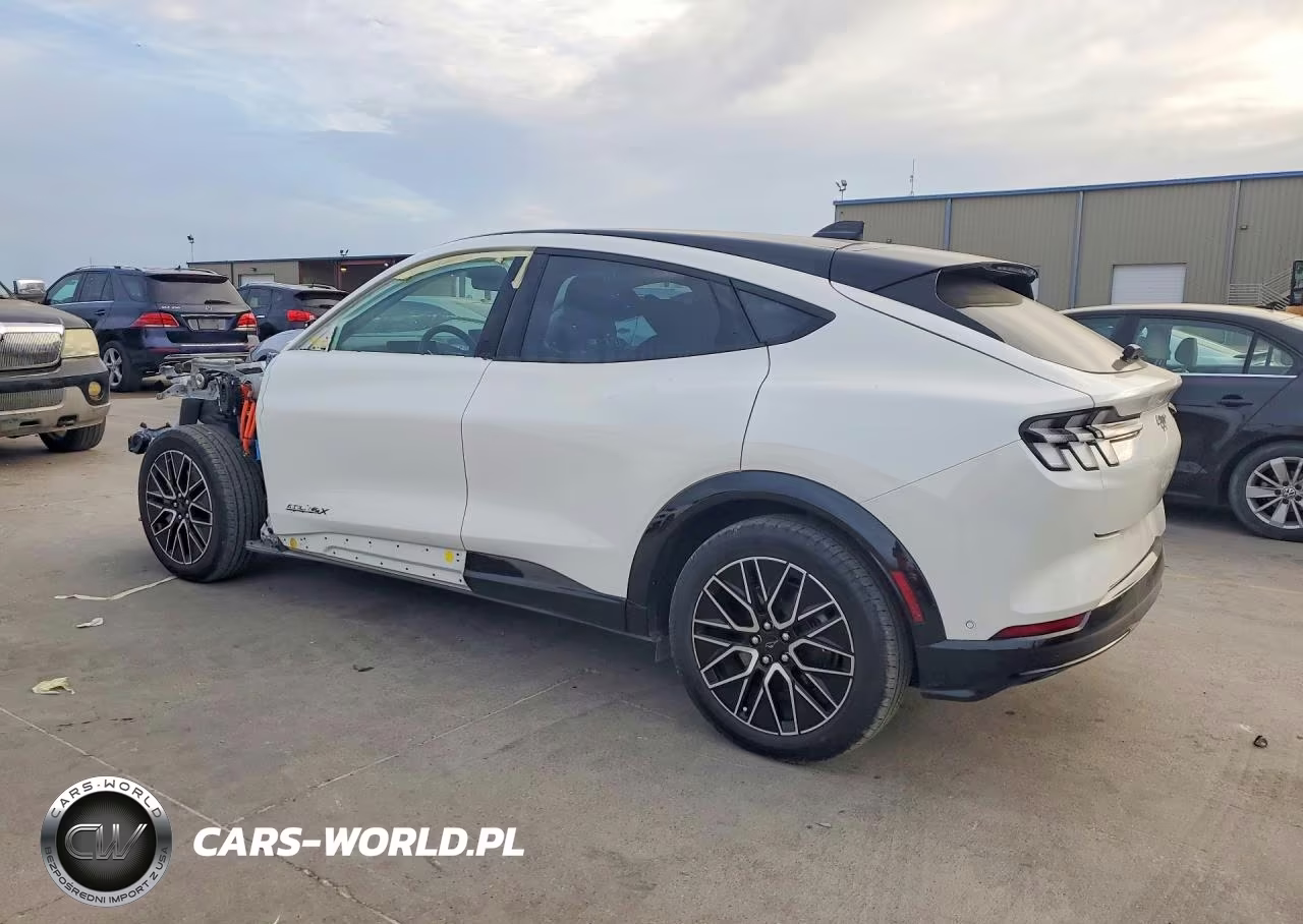 2024 Ford Mustang Mach-E Premium VIN:3FMTK3SU1RMA36424 - 2