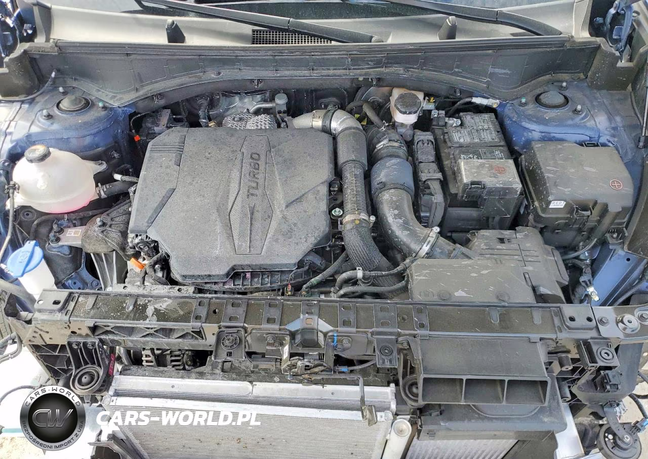 2025 Hyundai Santa Fe Sel VIN:5NMP24GL9SH105414 - 12