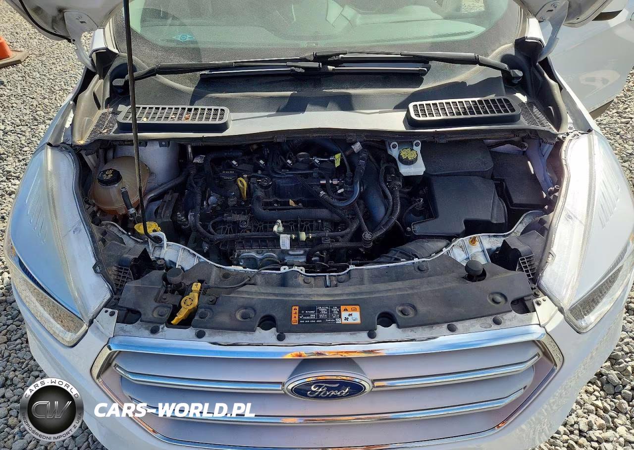 2018 Ford Escape Se VIN:1FMCU9GD4JUB45305 - 12