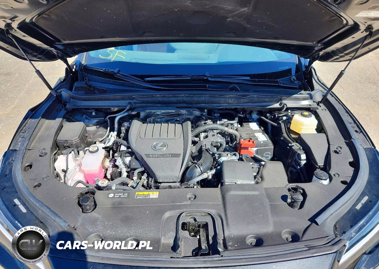 2025 Lexus Rx 350 Premium VIN:2T2BAMCA3SC115603 - 12